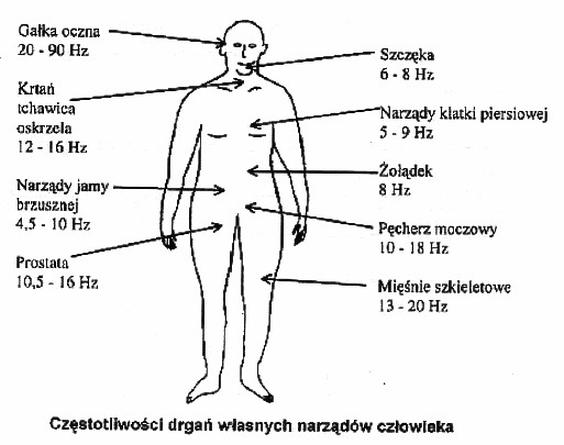 Ilustracja do pytania