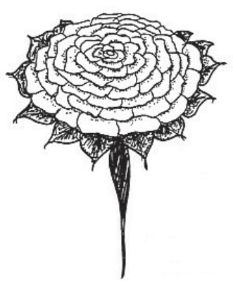 Ilustracja do pytania 3
