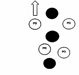 Wariant D