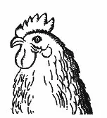 Ilustracja do odpowiedzi A