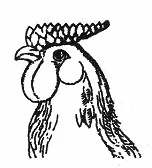 Ilustracja do odpowiedzi B