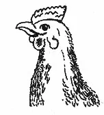 Ilustracja do odpowiedzi C