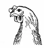 Ilustracja do odpowiedzi D