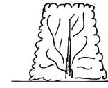 Ilustracja do odpowiedzi D