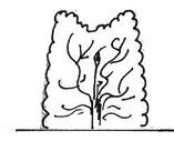 Ilustracja do odpowiedzi B