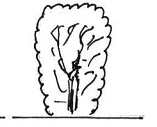 Ilustracja do odpowiedzi A