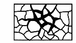 Wariant D