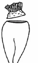 Ilustracja do odpowiedzi A