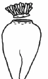 Ilustracja do odpowiedzi D