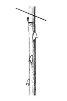 Ilustracja do odpowiedzi C