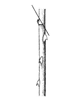Ilustracja do odpowiedzi A