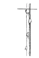 Ilustracja do odpowiedzi B