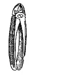 Wariant A