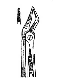 Wariant B