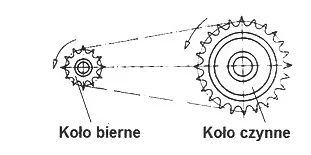 Wariant B