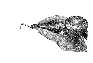 Wariant D