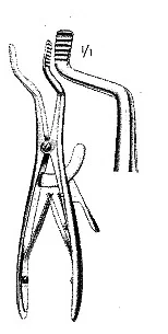 Wariant B
