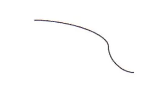 Wariant D