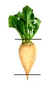 Ilustracja do odpowiedzi A