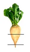 Ilustracja do odpowiedzi D