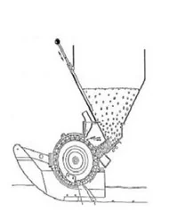 Wariant B