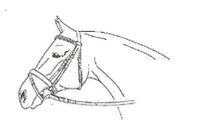 Ilustracja do odpowiedzi A