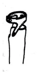 Ilustracja do odpowiedzi B