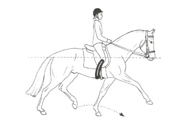 Ilustracja do odpowiedzi C