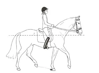 Ilustracja do odpowiedzi D