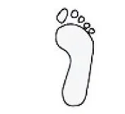 Ilustracja do odpowiedzi D