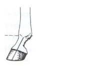 Ilustracja do odpowiedzi D
