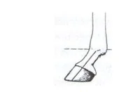 Ilustracja do odpowiedzi B