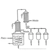 Wariant D