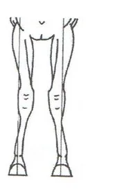 Ilustracja do odpowiedzi C