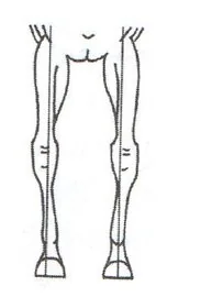 Ilustracja do odpowiedzi A