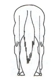 Ilustracja do odpowiedzi B