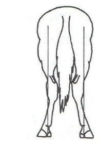Ilustracja do odpowiedzi D