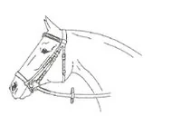 Ilustracja do odpowiedzi C