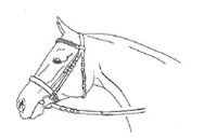 Ilustracja do odpowiedzi A