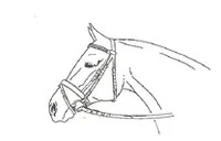 Ilustracja do odpowiedzi D
