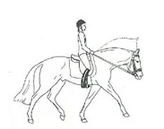 Ilustracja do odpowiedzi B