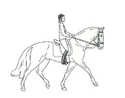Ilustracja do odpowiedzi D