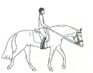 Ilustracja do odpowiedzi C