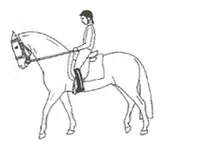 Ilustracja do odpowiedzi B