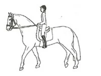 Ilustracja do odpowiedzi A