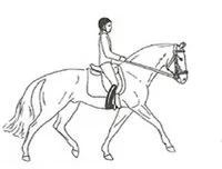 Ilustracja do odpowiedzi C