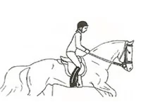 Ilustracja do odpowiedzi D