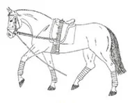 Ilustracja do odpowiedzi B