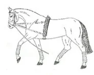 Ilustracja do odpowiedzi D