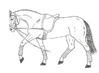 Ilustracja do odpowiedzi C